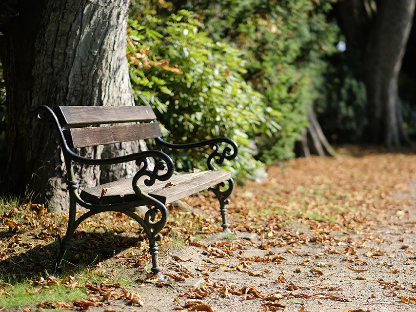 Sitzbank in einem Friedwald in Hamm 
